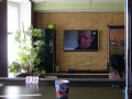 Подробнее